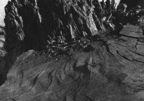 Stok, Ladakh (2006) / Lyssa Paluay