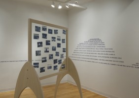 Distal Zone/ Stephanie Cardon