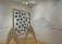 Distal Zone/ Stephanie Cardon