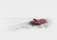 Red Glove / Evelyn Rydz