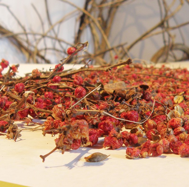 Garden Lab in Brant Gallery