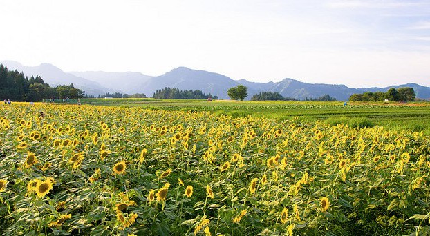 SUMMER